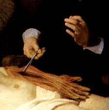 Урок Анатомии Рембрандта Доктора Тульпа рембрандт ван рейн даная