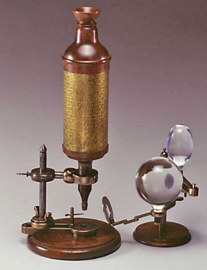 История микроскопа: Роберт Гук (1635 - 1703)?